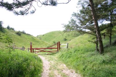 MÃ¸gelskÃ¥r.
Nordby bakker, et fantastisk omrÃ¥de, som godt kunne vÃ¦re Danmarks nationalpark nr 1, eller burde vÃ¦re det!
