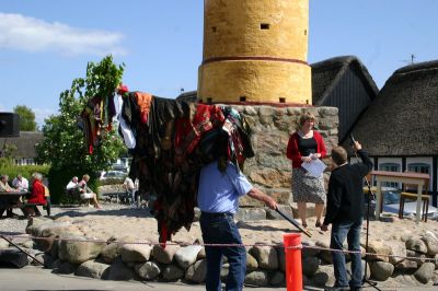 IMG_6257.JPG
